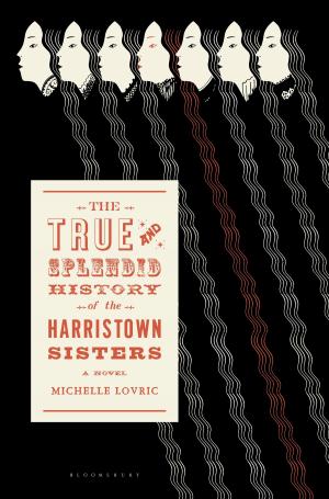 Cover of the book The True and Splendid History of the Harristown Sisters by 