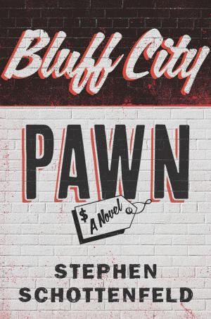 Cover of the book Bluff City Pawn by Sam Hillyard