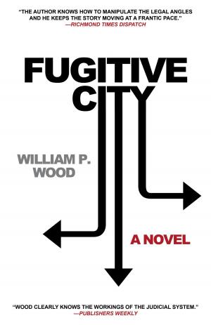 Book cover of Fugitive City