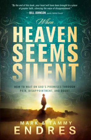 bigCover of the book When Heaven Seems Silent by 