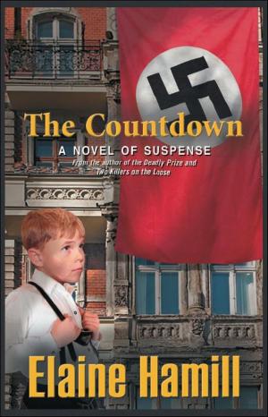 Cover of the book The Countdown “A Novel of Suspense” by P.J. Rhea