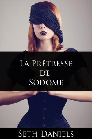 Cover of the book La Prêtresse de Sodome by Whitney Fox