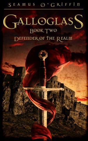Cover of the book Galloglass Book Two: Defender of the Realm by David N. Walker