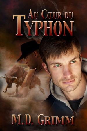 Cover of the book Au cœur du typhon by Jan Irving