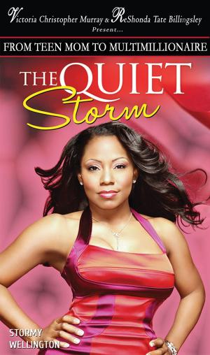 bigCover of the book The Quiet Storm by 
