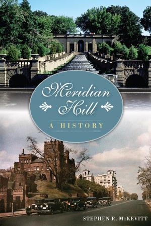 Cover of the book Meridian Hill by Cindy Amrhein