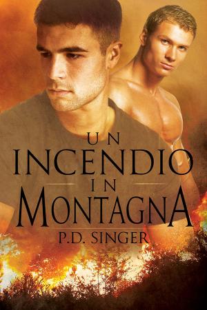Cover of the book Un incendio in montagna by Heidi Cullinan