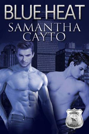 Cover of the book Blue Heat by Christine DePetrillo