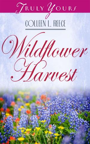 Cover of the book Wildflower Harvest by Darlene Franklin, Cynthia Hickey, Elizabeth Ludwig, Dana Mentink, Candice Prentice, Janice Thompson
