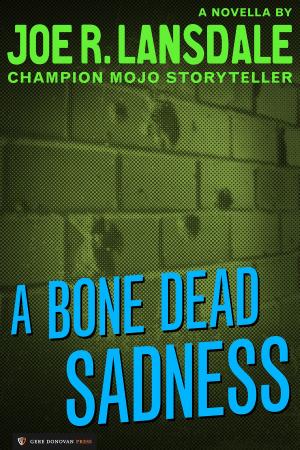 Cover of the book A Bone Dead Sadness by Warren Murphy, Richard Sapir