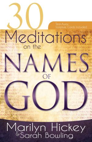 Book cover of 30 Meditations on the Names of God