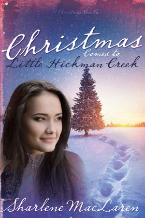 Cover of the book Christmas Comes to Little Hickman Creek by Ray McCollum