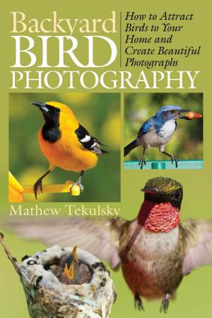 Cover of the book Backyard Bird Photography by Rob Pate