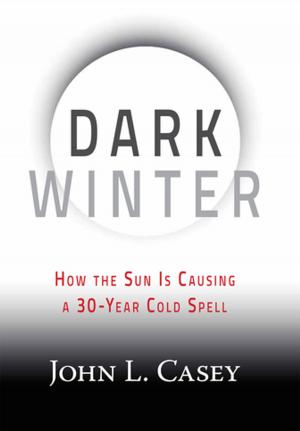 Cover of the book Dark Winter by William S. Maxfield