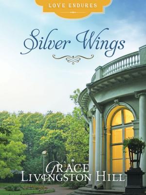 Cover of the book Silver Wings by Janet Ramsdell Rockey