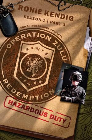 Cover of the book Operation Zulu Redemption: Hazardous Duty - Part 3 by Compiled by Barbour Staff