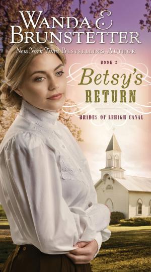 Cover of the book Betsy's Return by Veda Boyd Jones, Norma Jean Lutz, JoAnn A. Grote