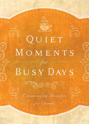 Cover of the book Quiet Moments for Busy Days by Mr. Aaron McCarver, Diane T. Ashley