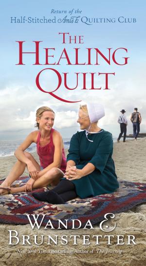 Cover of the book The Healing Quilt by C.J. Chase, Susanne Dietze, Rita Gerlach, Kathleen L. Maher, Gabrielle Meyer, Carrie Fancett Pagels, Vanessa Riley, Lorna Seilstad, Erica Vetsch