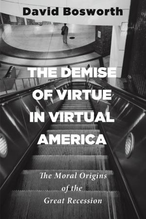 Cover of the book The Demise of Virtue in Virtual America by Warner M. Bailey