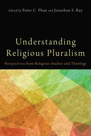 Cover of the book Understanding Religious Pluralism by Matthew D. Kirkpatrick