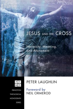 Cover of the book Jesus and the Cross by Jack R. Lundbom