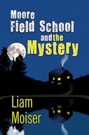 Cover of the book Moore Field School and the Mystery by Derek T. Morgan