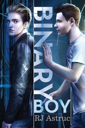 Cover of the book Binary Boy by Anna Martin