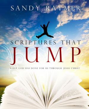 Cover of the book Scriptures That Jump by Shirley Quiring Mozena