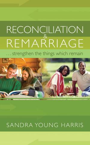 bigCover of the book Reconciliation and Remarriage by 