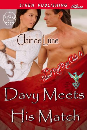 Cover of the book Davy Meets His Match by Fel Fern