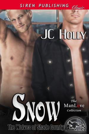 Cover of the book Snow by Lynn Hagen