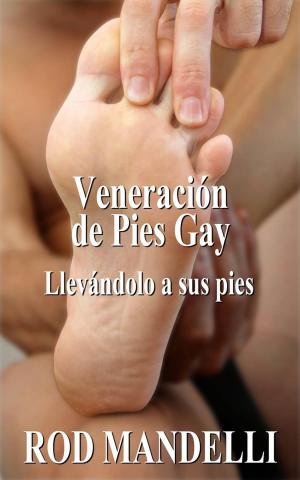 Cover of the book Veneración de Pies Gay #1: Llevándolo a sus pies by Lacy Wren