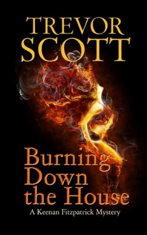 Book cover of Burning Down the House