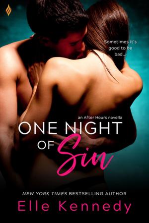 Cover of the book One Night of Sin by Clare James