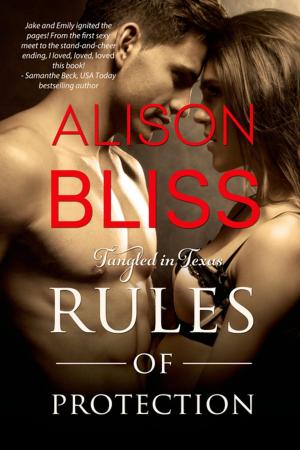 Cover of the book Rules of Protection by Jess Macallan