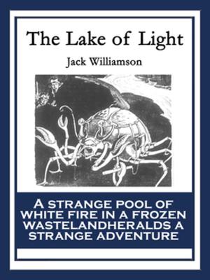 Book cover of The Lake of Light
