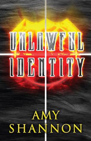 Cover of the book Unlawful Identity by Amanda Dubin