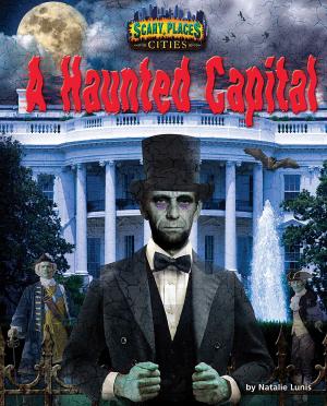 Cover of the book A Haunted Capital by Meish Goldish