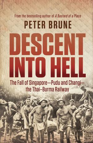 Cover of the book Descent into Hell by Trace Balla