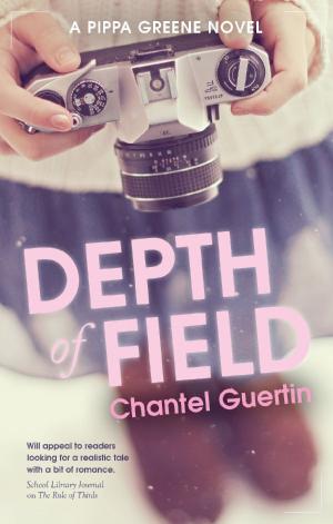 Cover of the book Depth of Field by Bertrand Hébert, Pat Laprade