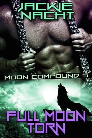 Cover of the book Full Moon Torn by Tess Lake