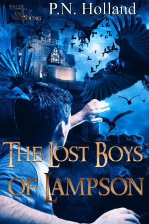 Cover of the book The Lost Boys of Lampson by Janie Franz