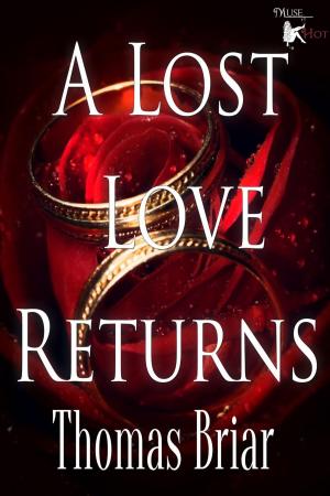 Cover of the book A Lost Love Returns by N.W. Harris, Margaret Fieland, Christina Weigand, Erin Callahan, Troy H. Gardner