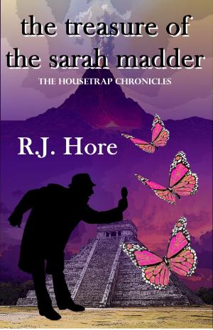 bigCover of the book The Treasure of the Sarah Madder by 