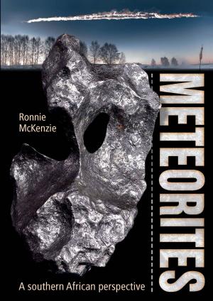 Cover of the book Meteorites by Wim van der Berg