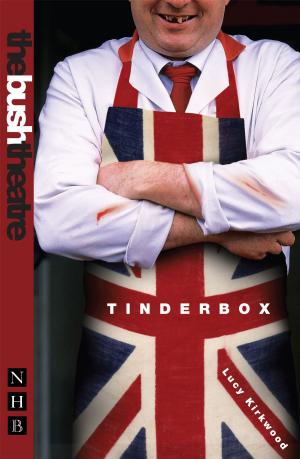 Book cover of Tinderbox (NHB Modern Plays)