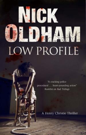 Cover of the book Low Profile by Anthea Fraser