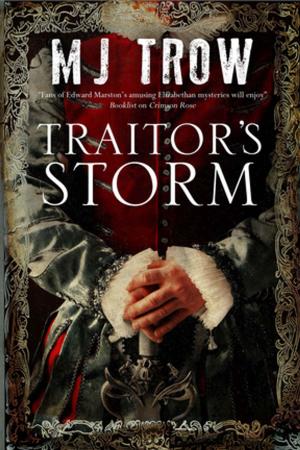 Cover of the book Traitor's Storm by Nick Oldham