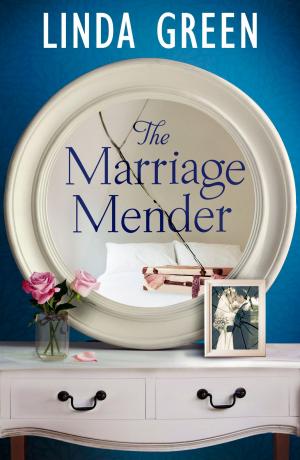 Cover of the book The Marriage Mender by Anders Roslund, Börge Hellström
